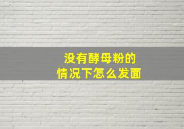 没有酵母粉的情况下怎么发面