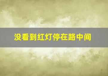 没看到红灯停在路中间