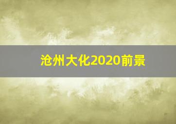 沧州大化2020前景