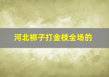 河北梆子打金枝全场的