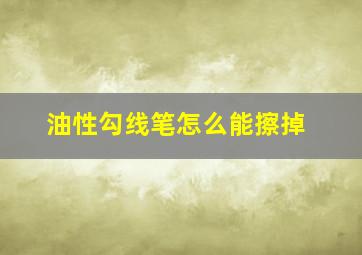 油性勾线笔怎么能擦掉