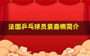 法国乒乓球员袁嘉楠简介