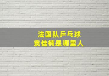 法国队乒乓球袁佳楠是哪里人