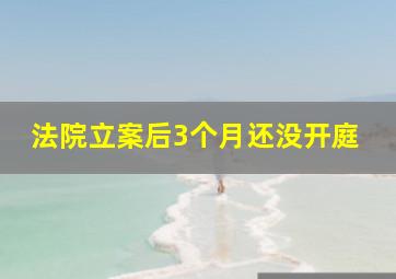 法院立案后3个月还没开庭