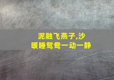 泥融飞燕子,沙暖睡鸳鸯一动一静