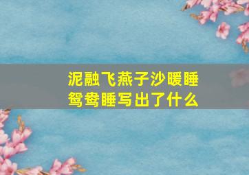 泥融飞燕子沙暖睡鸳鸯睡写出了什么