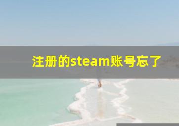 注册的steam账号忘了