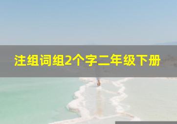 注组词组2个字二年级下册