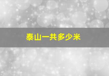 泰山一共多少米