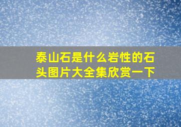 泰山石是什么岩性的石头图片大全集欣赏一下