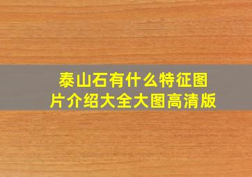 泰山石有什么特征图片介绍大全大图高清版