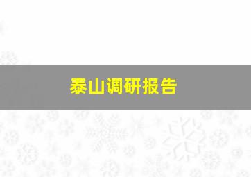 泰山调研报告