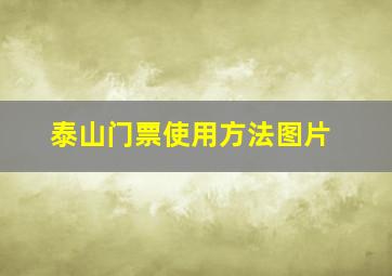 泰山门票使用方法图片