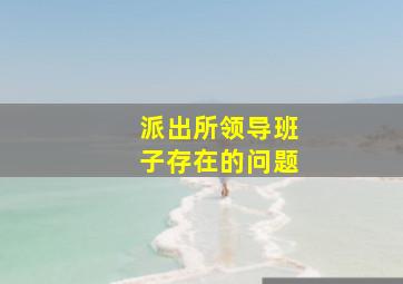 派出所领导班子存在的问题