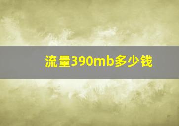 流量390mb多少钱