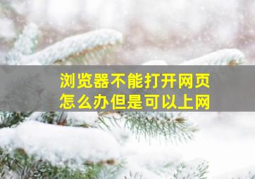 浏览器不能打开网页怎么办但是可以上网