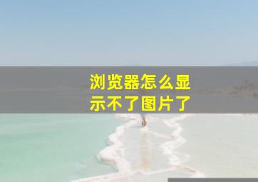 浏览器怎么显示不了图片了