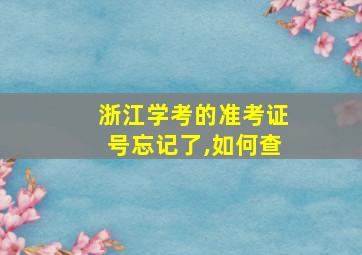 浙江学考的准考证号忘记了,如何查