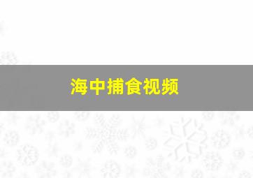 海中捕食视频