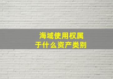 海域使用权属于什么资产类别