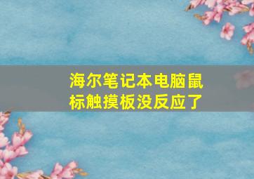 海尔笔记本电脑鼠标触摸板没反应了