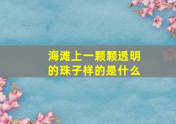 海滩上一颗颗透明的珠子样的是什么