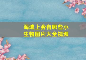 海滩上会有哪些小生物图片大全视频