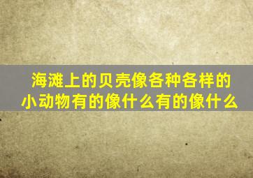 海滩上的贝壳像各种各样的小动物有的像什么有的像什么