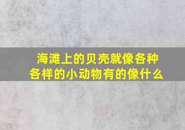 海滩上的贝壳就像各种各样的小动物有的像什么