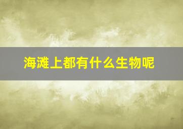 海滩上都有什么生物呢