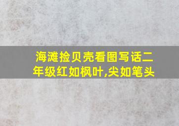 海滩捡贝壳看图写话二年级红如枫叶,尖如笔头