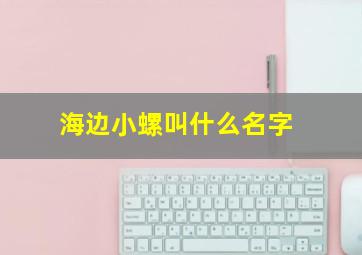 海边小螺叫什么名字