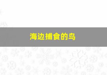 海边捕食的鸟