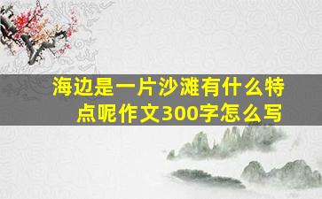 海边是一片沙滩有什么特点呢作文300字怎么写