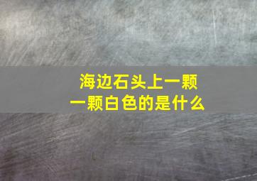 海边石头上一颗一颗白色的是什么