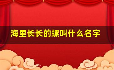 海里长长的螺叫什么名字