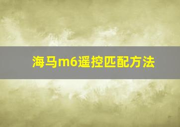 海马m6遥控匹配方法