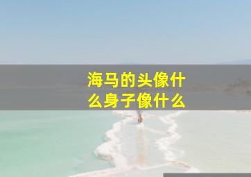 海马的头像什么身子像什么