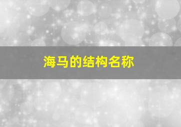 海马的结构名称