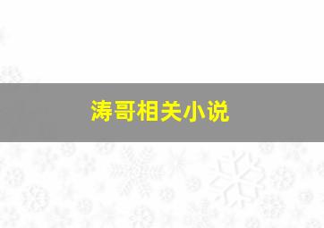 涛哥相关小说