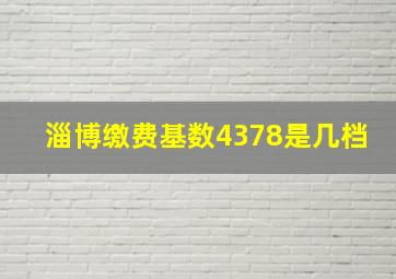 淄博缴费基数4378是几档