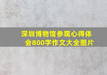 深圳博物馆参观心得体会800字作文大全图片