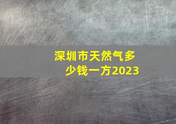 深圳市天然气多少钱一方2023