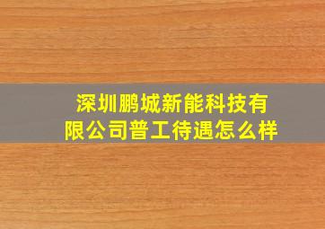 深圳鹏城新能科技有限公司普工待遇怎么样