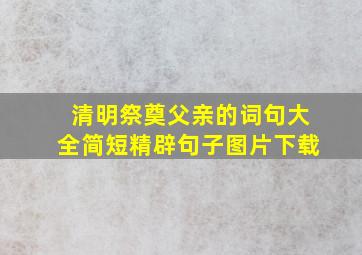 清明祭奠父亲的词句大全简短精辟句子图片下载