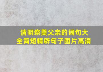 清明祭奠父亲的词句大全简短精辟句子图片高清