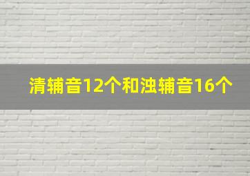 清辅音12个和浊辅音16个