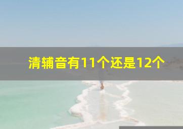 清辅音有11个还是12个