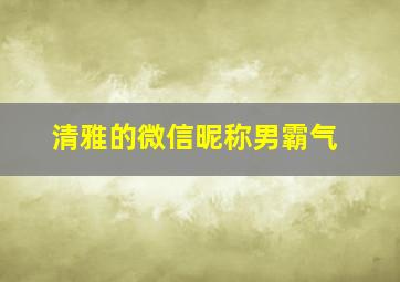 清雅的微信昵称男霸气