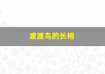 渡渡鸟的长相